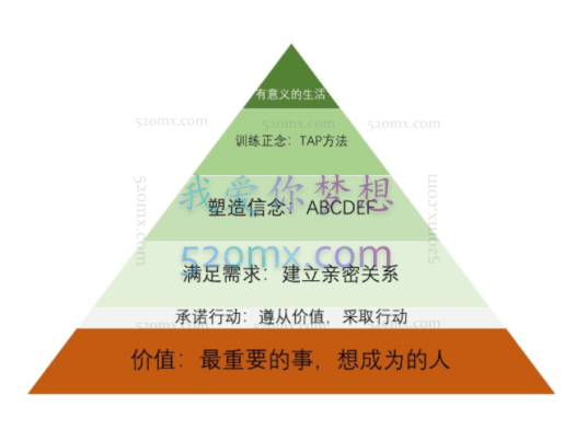 克服sq瘾的自助课