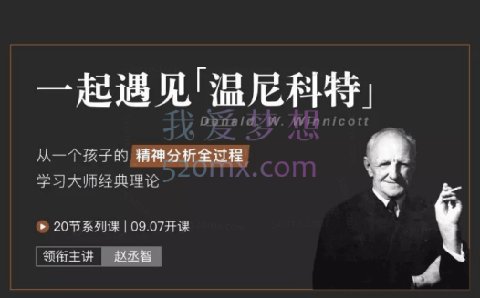 赵丞智:一起遇见温尼科特20节系列课
