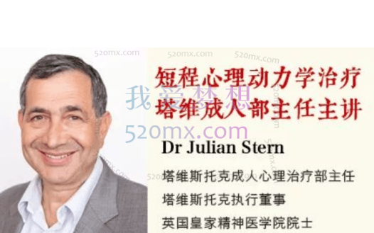 【大师课程】短程心理动力学治疗十二讲:塔维斯托克成人心理治疗部主任Julian Stern领衔主讲全套资料
