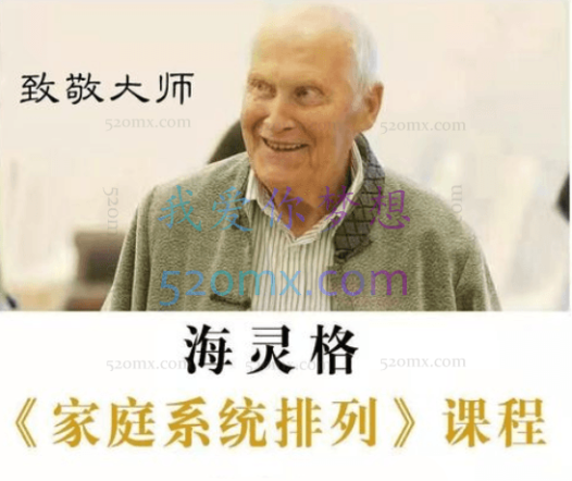 海灵格-台北国际训练营,家庭系统排列视频全集