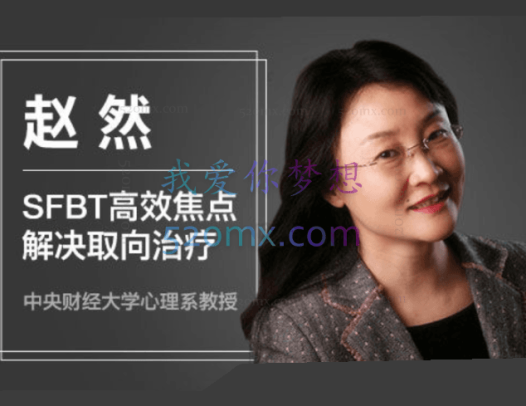 赵然 ：于丹妮 （SFBT）高效焦点解决取向治疗课程视频