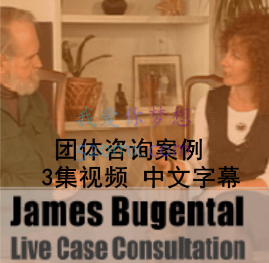 詹姆斯·布根塔尔:团体咨询案例 视频(中文字幕) 3集