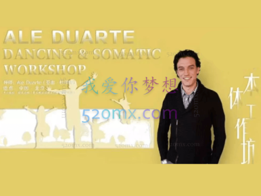 亚雷.杜尔特:本体整合工作坊高清视频录像