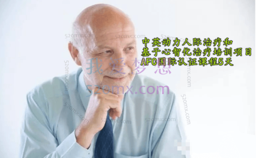 Peter Fonagy中英动力人际治疗和基于心智化治疗培训项目AFC国际认证课程5天