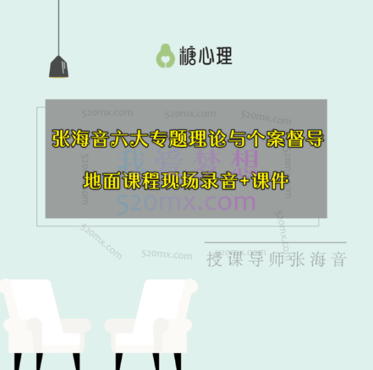 张海音：六大专题理论与个案督导地面课程现场录音+课件