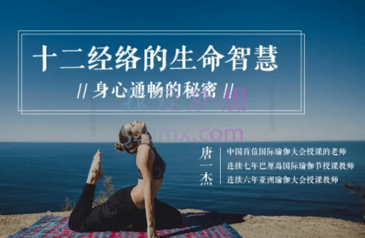 唐一杰:十二经络的生命智慧