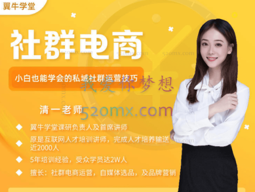 翼牛学堂课:社群电商 【闲鱼】