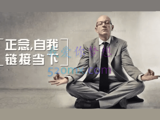 斯蒂文·海斯 :正念,自我链接当下,5集(中文字幕)