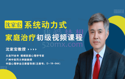 沈家宏系统动力式家庭治疗初级课程30讲
