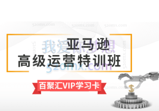 2022百聚汇亚马逊高级运营特训营