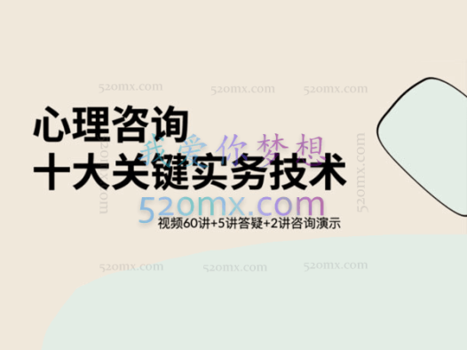 心理咨询十大关键实务技术