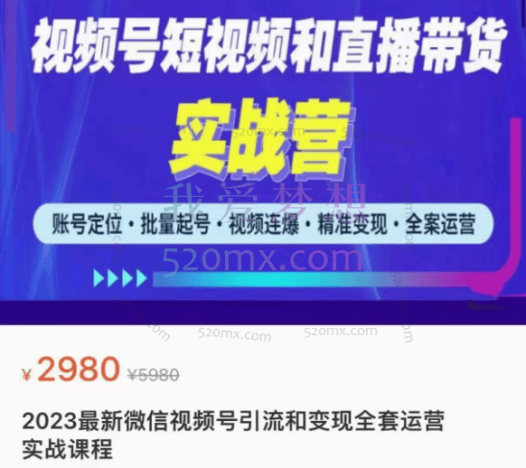 小卒:微信视频号引流和变现全套运营实战课程,账号定位·批量起号·视频连爆·精准变现·全案运营