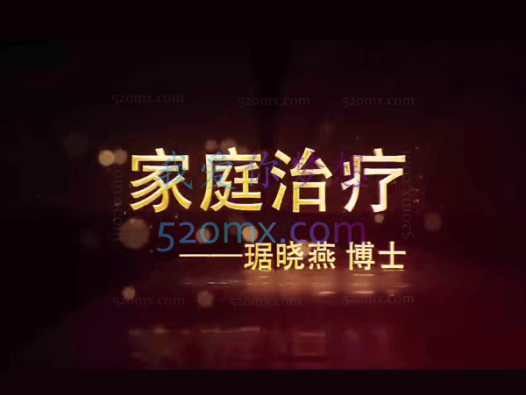 琚晓燕:家庭治疗技术与应用 基本理论+核心概念+技巧