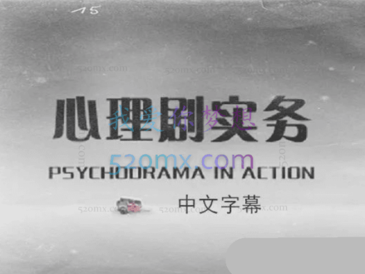 泽卡·莫雷诺：心理剧实务（Psychodrama in Action）中英文字幕