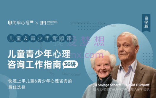 儿童青少年心理咨询工作指南36讲视频+课件(中英字幕)
