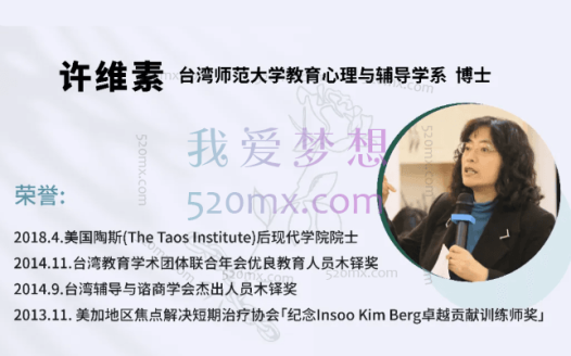 许维素:焦点解决短期治疗(SFBT)工作坊录音11小时