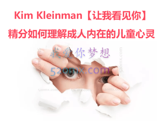Kim Kleinman【让我看见你】精分如何理解成人内在的儿童心灵：对临床技术的启示和指引十二讲