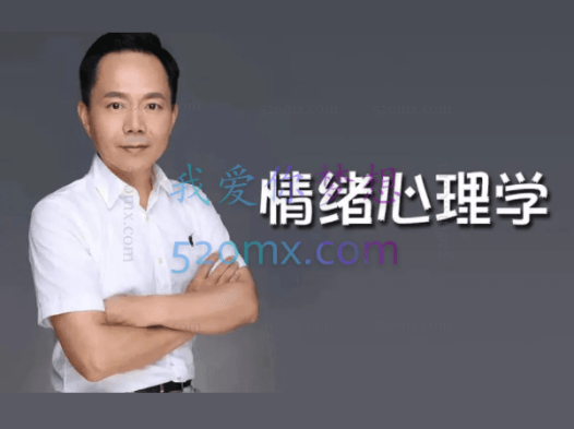 张维扬:咨询室中的情绪与情感