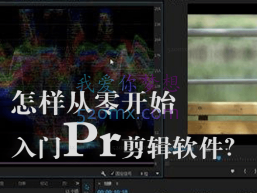 旧食课堂：Pr视频剪辑入门课