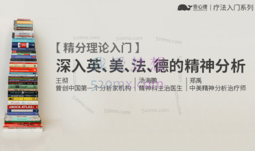 郑禹：美国精分-系统可操作的精分