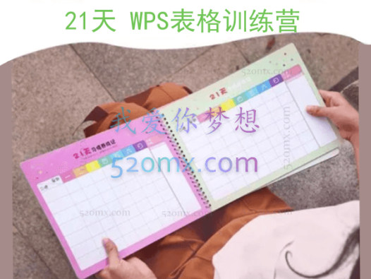 21天WPS表格训练营