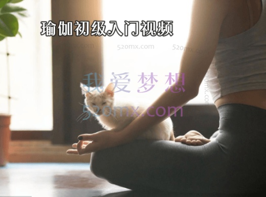 瑜伽初级入门视频