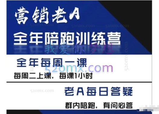 营销老A全年陪跑训练营,价值2580元