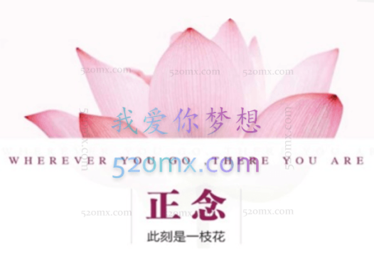 夏鹏【正念-此时是一支花】精读课