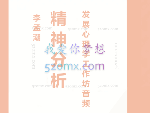 李孟潮“精神分析发展心理学”工作坊音频