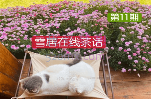 李雪心理:茶话会1-11期