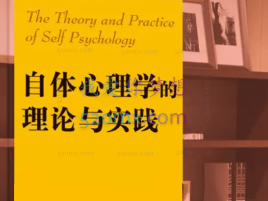 許豪沖:当代自体心理学的临床运用与治愈之道 视频+课件