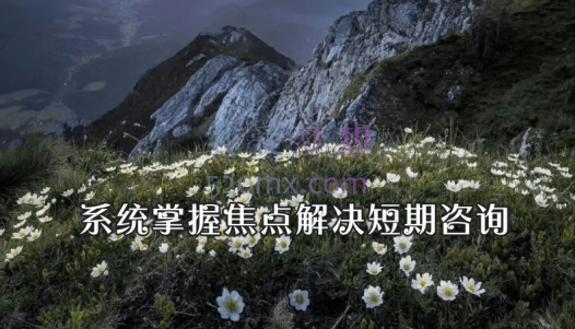 林祺堂:系统掌握焦点解决短期咨询（SFBT） 理论+案例 视频+课件