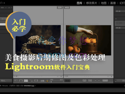 旧食课堂：Lightroom美食摄影后期修图及色彩处理