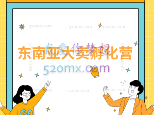 东南亚大卖孵化营