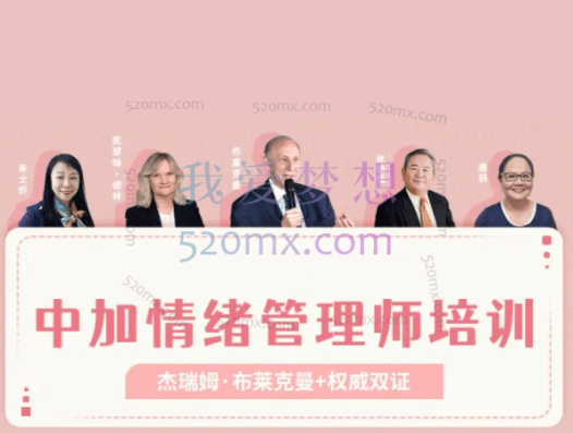 中加国际情绪管理师培训录音+课件资料