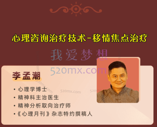 李孟潮:心理咨询治疗技术-移情焦点治疗(TFP)三天培训录音