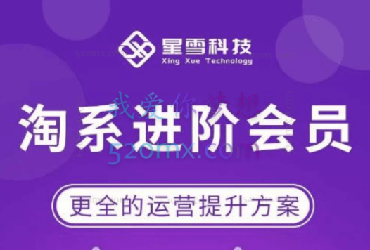 星雪教育淘宝进阶课程(2022年最新课)