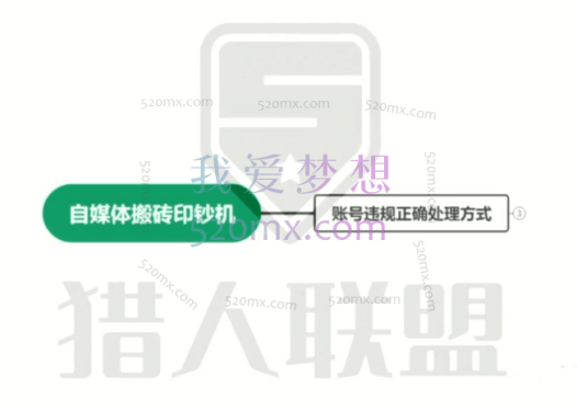 猎人电商:自媒体风口项目