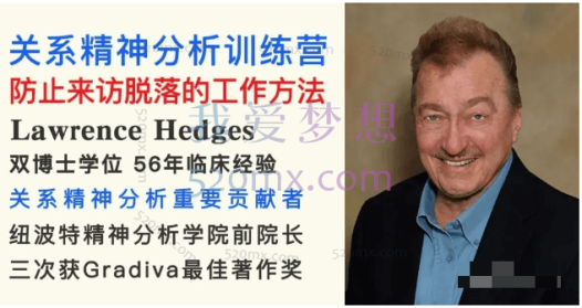 Hedges详解针对4种不同发展水平来访的关系精神分析透视法