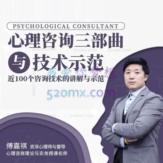 傅嘉祺：心理咨询三部曲与技术示范 四大阶段11大学派75集高清视频