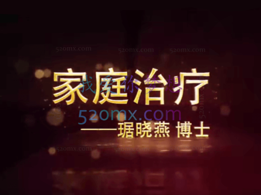 琚晓燕：家庭治疗技术与应用 基本理论+核心概念+技巧