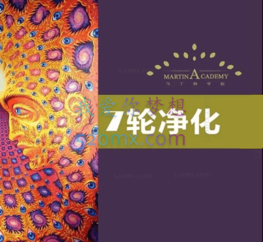 禹杉:七轮净化课程录音(马丁纳管理学院)