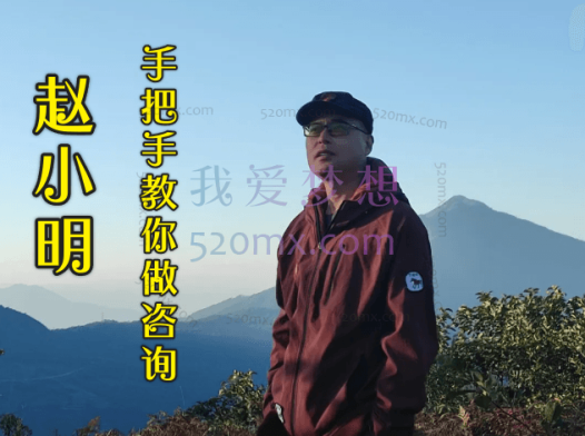 赵小明专业篇：手把手教你做咨询(第三年)