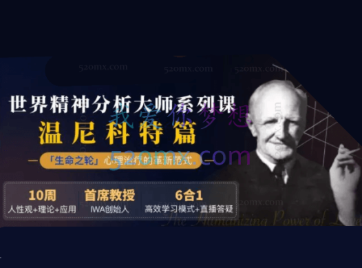 首届中国-巴西国际温尼科特精神分析取向心理咨询师第五期