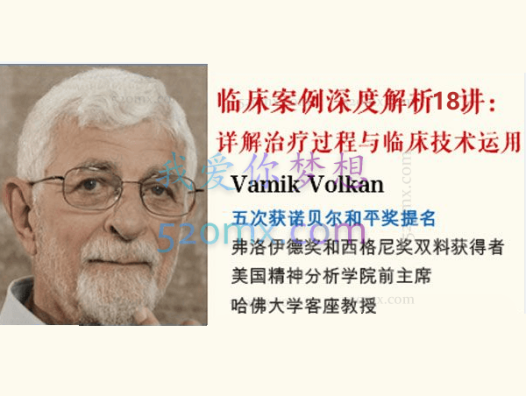 Vamik大师精神分析核心概念与临床技术18讲