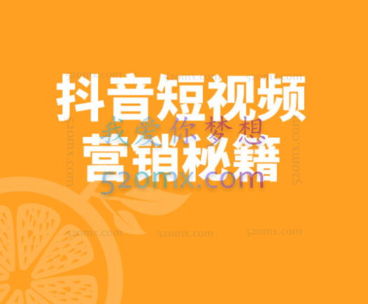 老于：抖音短视频营销秘籍