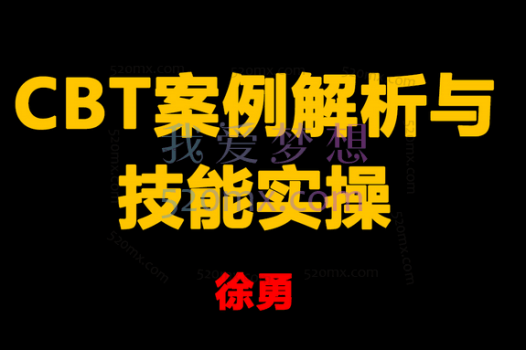 徐勇：认知行为治疗(CBT)案例解析与技能实操网络课程30讲视频