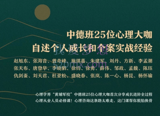 中德班15大咖自述个人成长和个案实战经验