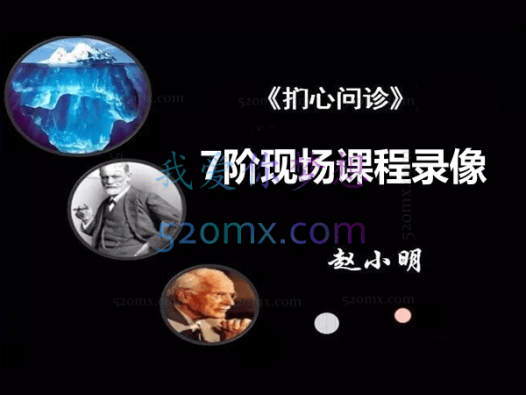 赵小明：扪心问诊7阶现场课程录像