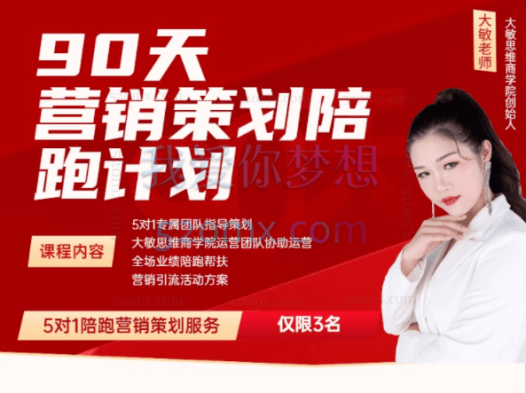 大敏思维:90天营销策划五对一陪跑,从商业定位、变现规划、微信打造IP/短视频打造IP、从0到拿到结果